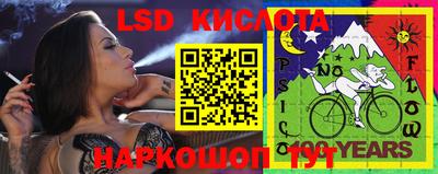 прущие грибы Гусиноозёрск