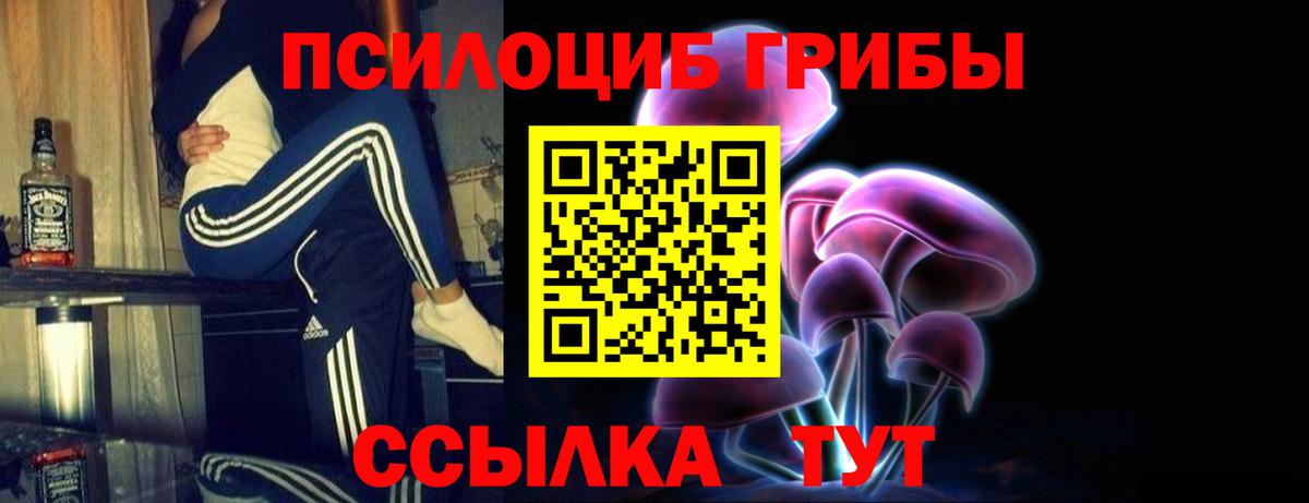 Миллерово  Галлюциногенные грибы GOLDEN TEACHER  Вход с VPN 